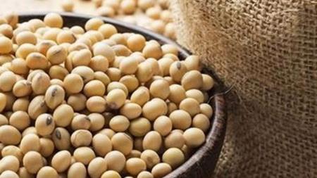  India's soybean exports to Iran could hike: Indian official