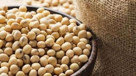 India's soybean exports to Iran could hike: Indian official