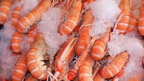  Shrimp exports exceed 24,000 tons in 9 months