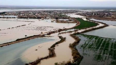  Floods incur over $3bn loss to Iran's agricultural sector