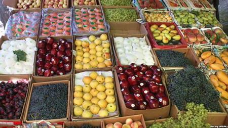  Iran Agrifood Trade Deficit Narrows