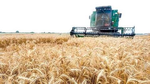  USDA Forecasts Growth in Iranian Wheat Output