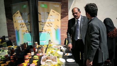 : FAO envoy Iran 3rd largest honey producer