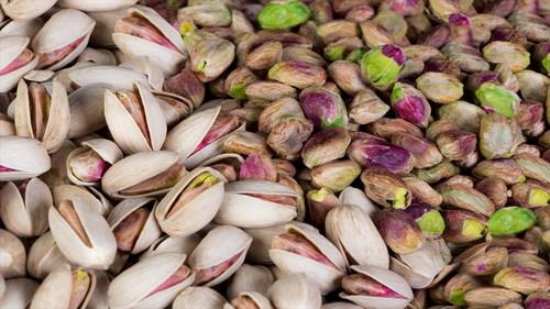  Iran exports €25m of pistachio to EU countries in 4 months